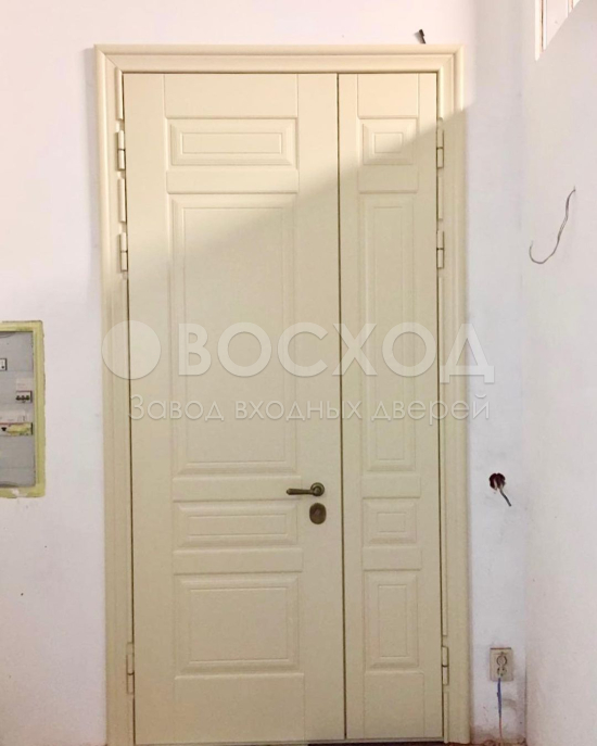 Фото стальной двери №99